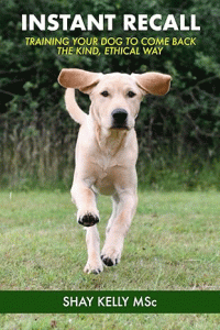 Book cover showing a labrador pup running towards you Shay Kelly Instant Recall