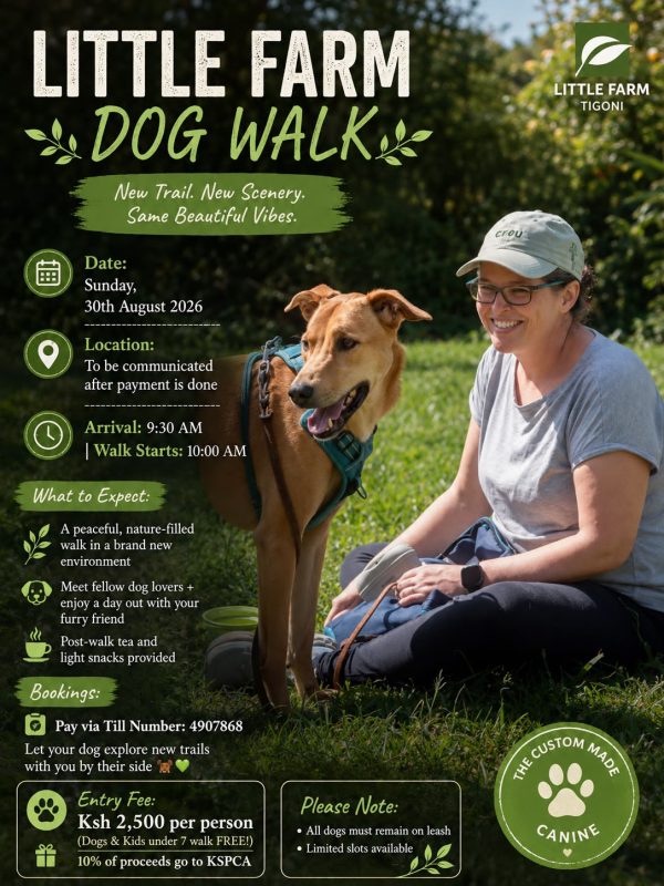 New Tigoni Dog walk poster - 30 August 2026 - Location disclosed after payment - arrive 9:30 - KSH2500 pp - pay to till 4907868 - 10% of proceeds go to the KSPCA 
