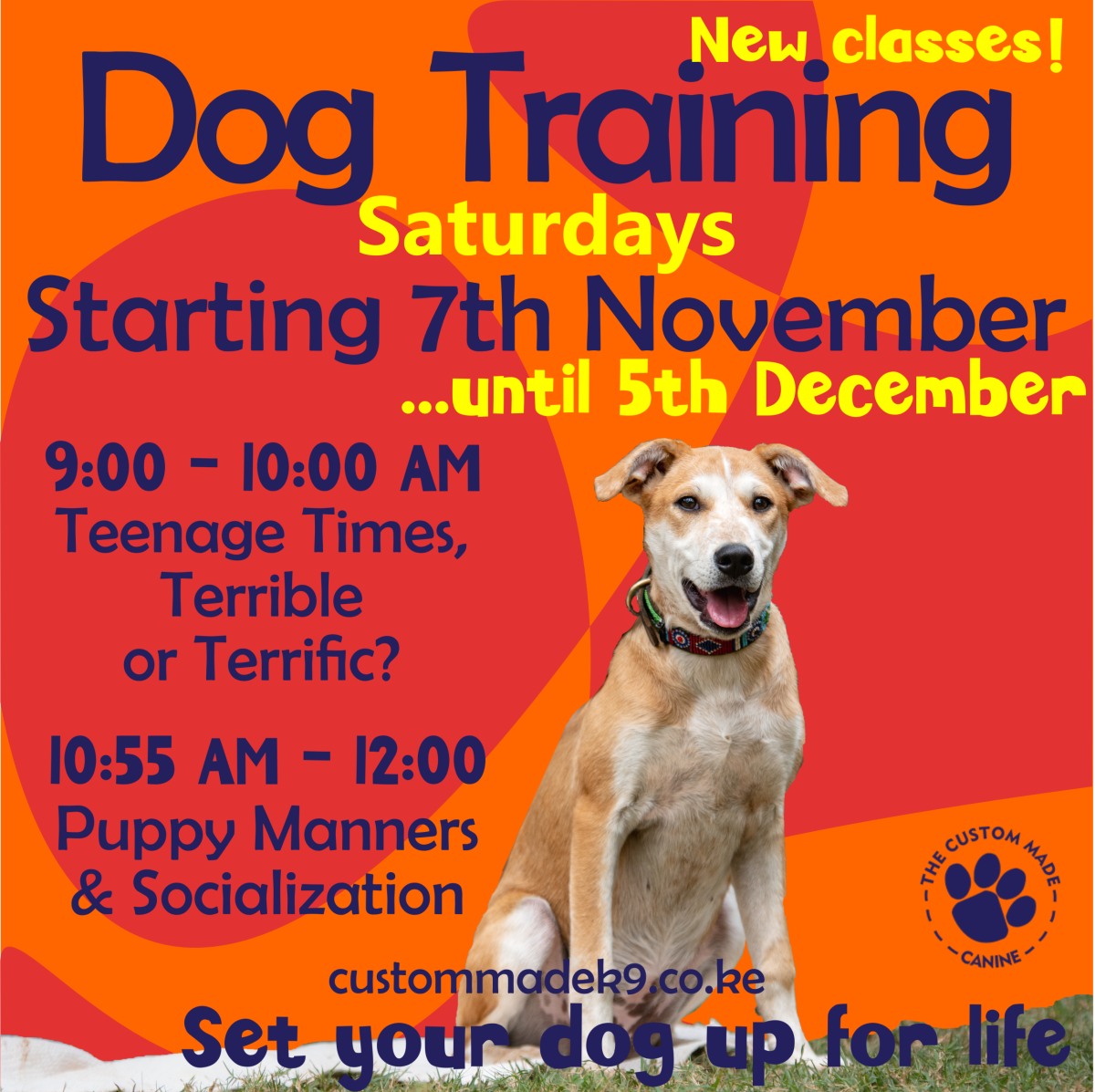 New Training Classes starting 7 November 2026 